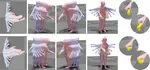 GOAL: Generating 4D Whole-Body Motion for Hand-Object Grasping