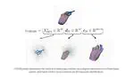 CHOIR: A Versatile and Differentiable Hand-Object Interaction Representation