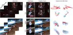 HaPTIC: Predicting 4D Hand Trajectory from Monocular Videos